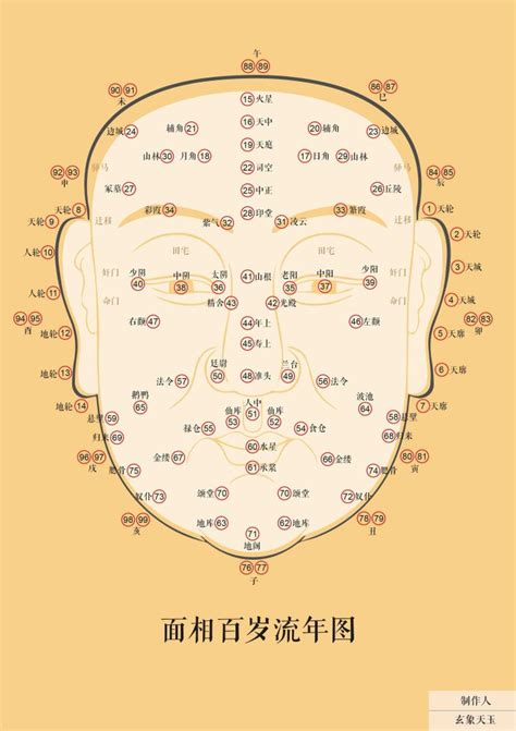 面相 年龄|什么年龄在面相的位置